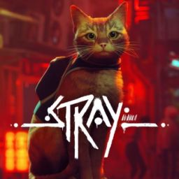 迷失 Stray